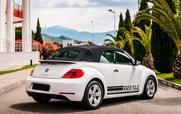 VW Beetle Beetle