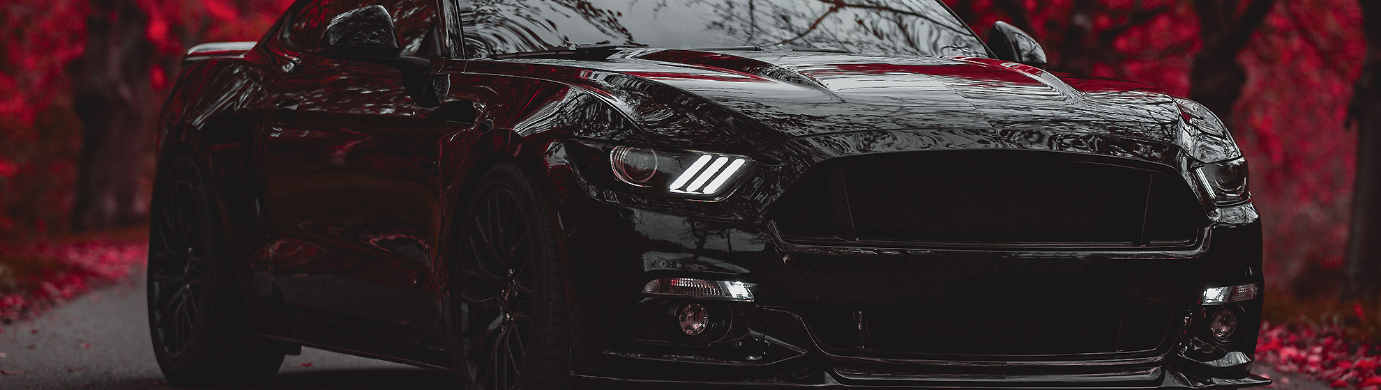 Аренда кабриолета в Сочи — лучший способ отдыха в столице курортов