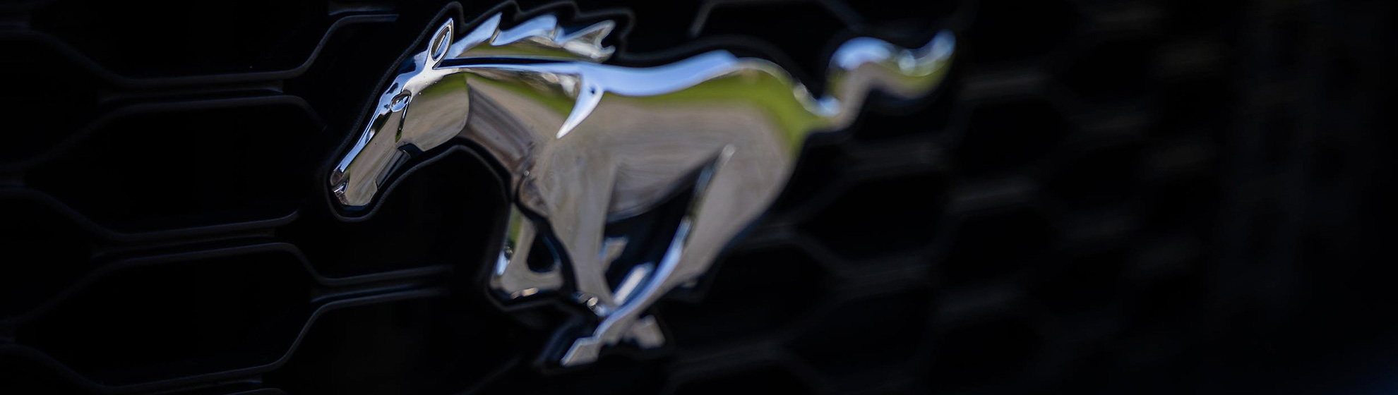 Аренда кабриолета в Сочи — лучший способ отдыха в столице курортов